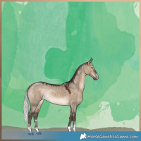 Horse Color:Silver Brown Dun Rabicano 