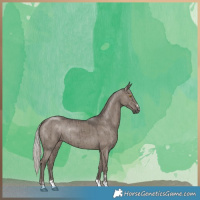 Horse Color:Silver Grullo Rabicano Brindle 