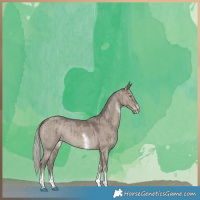 Horse Color:Silver Grullo Sabino Brindle 