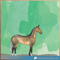 Horse Color:Silver Buckskin Dun 