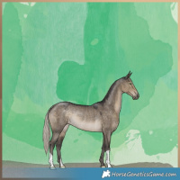 Horse Color:Silver Smoky Grullo Rabicano 