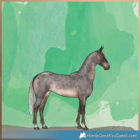 Horse Color:Silver Brown Roan Rabicano 