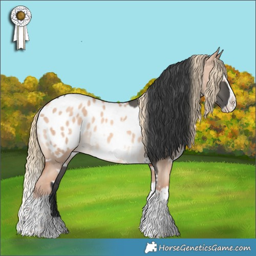 Horse Color:Grullo Tobiano and White Spotted Gold Champagne Dun Splash Appaloosa