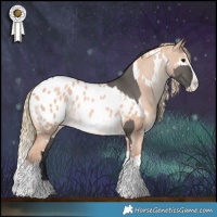 Horse Color:Grullo Tobiano and White Spotted Gold Champagne Dun Splash Appaloosa