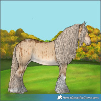 Horse Color:Chocolate Palomino Dun Tobiano Brindle 
