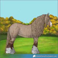 Horse Color:Liver Red Dun Rabicano Brindle