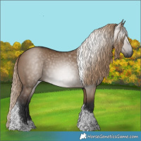 Horse Color:Gray Liver Red Dun Tobiano 