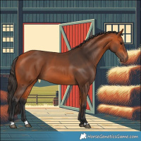 Horse Color:Bay 
