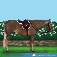 Horse Color:Gray Chocolate Palomino