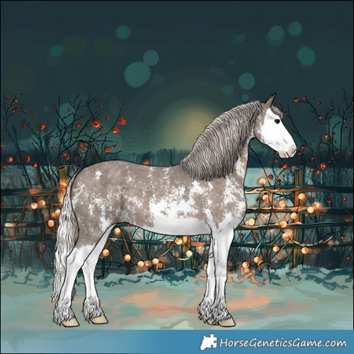 Horse Color:Silver Black Sabino Splash 