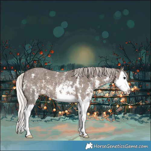 Horse Color:Silver Black Sabino Splash 