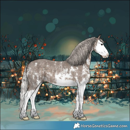 Horse Color:Silver Black Sabino Splash 