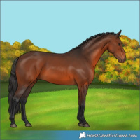 Horse Color:Brown 