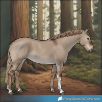 Horse Color:Liver Red Dun Tobiano Rabicano 