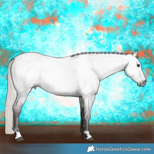 Horse Color:Gray Silver Blue Roan 