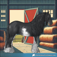 Horse Color:White Spotted Black