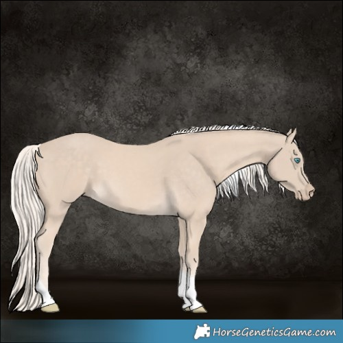 Horse Color:Cremello Tobiano 
