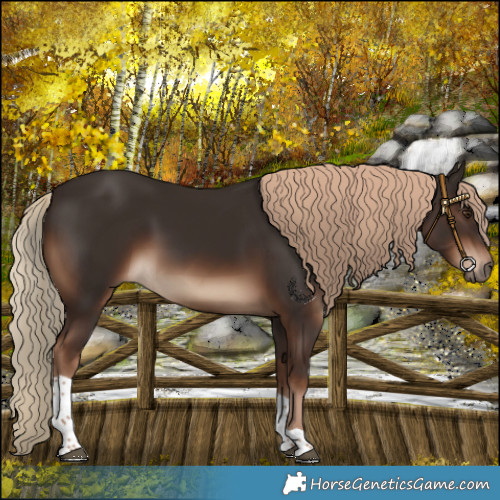 Horse Color:Liver Chestnut Tobiano Rabicano 