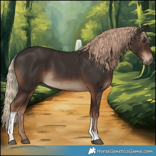 Horse Color:Liver Chestnut Tobiano Rabicano 
