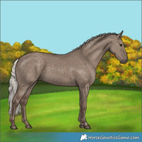 Horse Color:Silver Grullo 