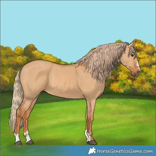 Horse Color:Red Dun 