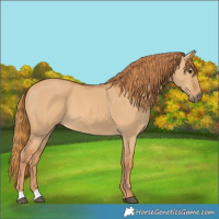 Horse Color:Red Dun