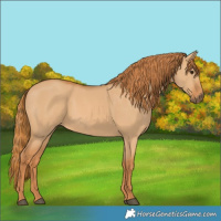 Horse Color:Red Dun 