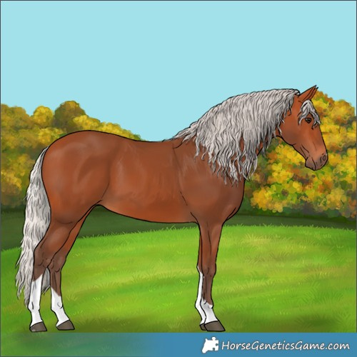 Horse Color:Silver Bay Tobiano 