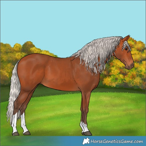 Horse Color:Silver Bay Tobiano 