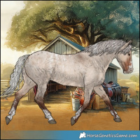 Horse Color:Powder White Silver Brown Roan Dun 