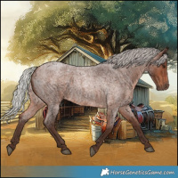 Horse Color:Silver Brown Roan