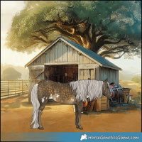 Horse Color:White Spotted Silver Buckskin 