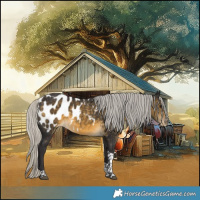 Horse Color:Silver Buckskin Tobiano Blanket 