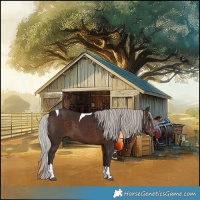 Horse Color:Silver Brown Tobiano 
