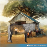 Horse Color:White Spotted Silver Buckskin Rabicano