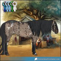 Horse Color:White Spotted Brown Dun Rabicano Brindle 