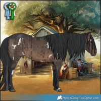 Horse Color:White Spotted Brown Dun Rabicano Brindle