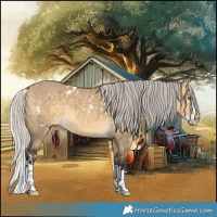 Horse Color:White Spotted Silver Buckskin Dun Splash