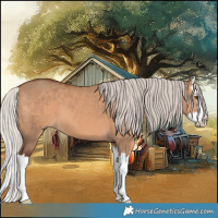 Horse Color:Silver Brown Dun Splash 