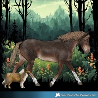 Horse Color:Liver Chestnut Tobiano Rabicano 