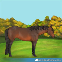 Horse Color:Brown 
