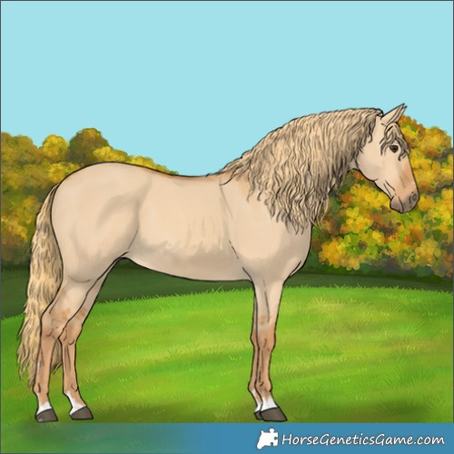 Horse Color:Red Dun 