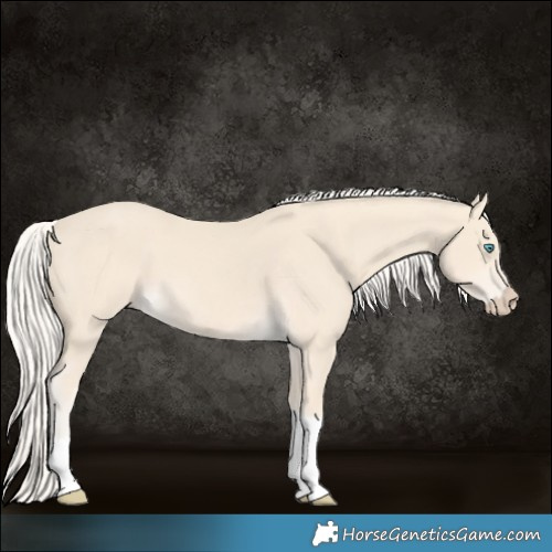 Horse Color:Cremello Tobiano 
