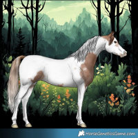 Horse Color:Red Roan Splash Tobiano Frame 