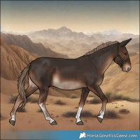 Horse Color:Liver Chestnut Tobiano Rabicano