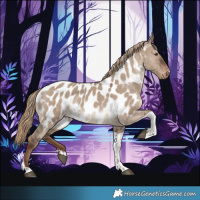 Horse Color:Liver Red Dun Tobiano Near Leopard Rabicano
