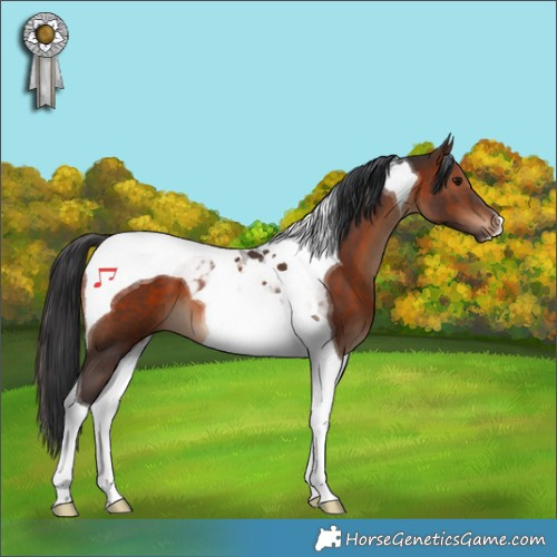Horse Color:Brown Tobiano 