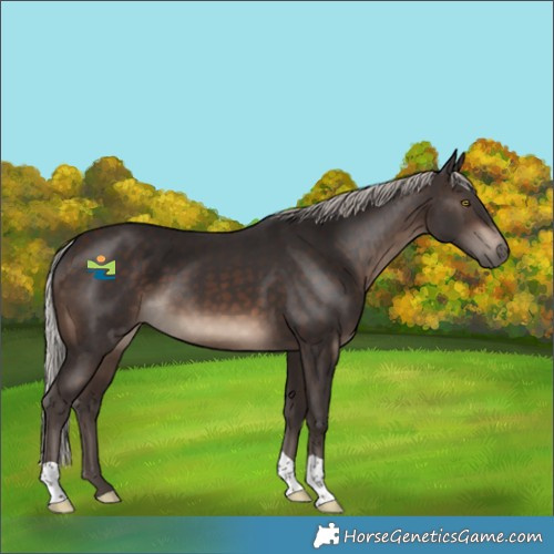 Horse Color:Silver Brown