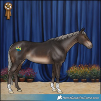 Horse Color:Silver Brown