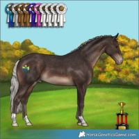 Horse Color:Silver Brown Varnish
